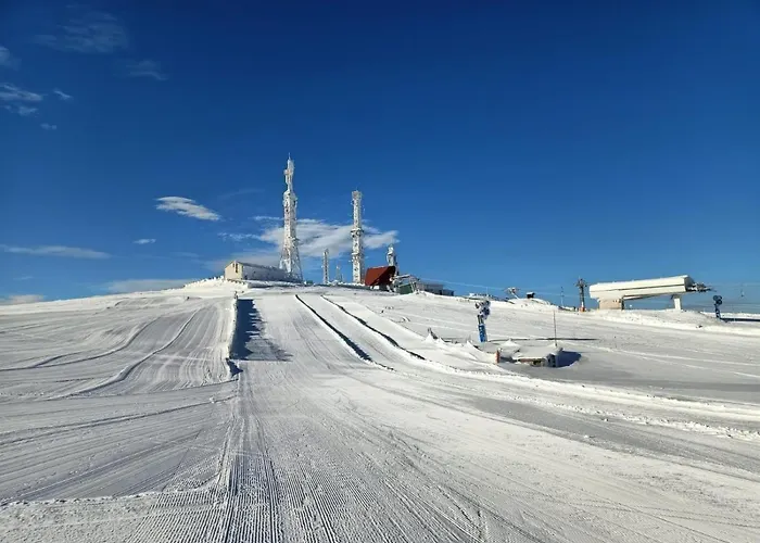 Estacion De Montana 아파트호텔 만사네다