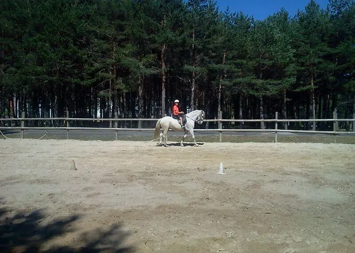 Estacion De Montana 아파트호텔 만사네다